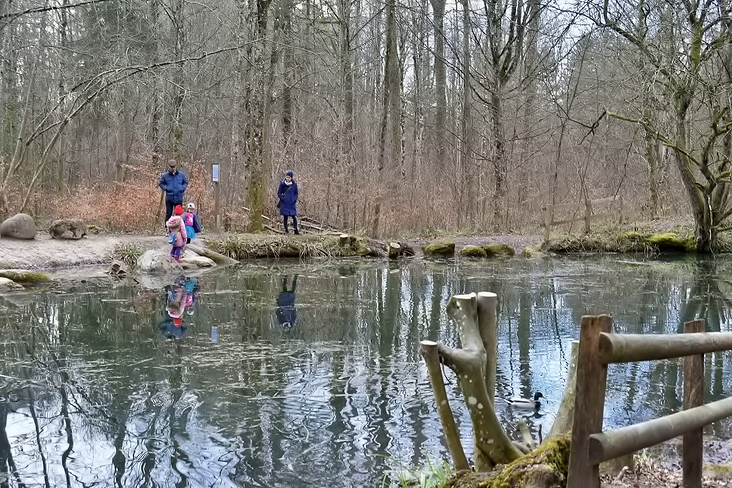 Degenried Weiher Zürich