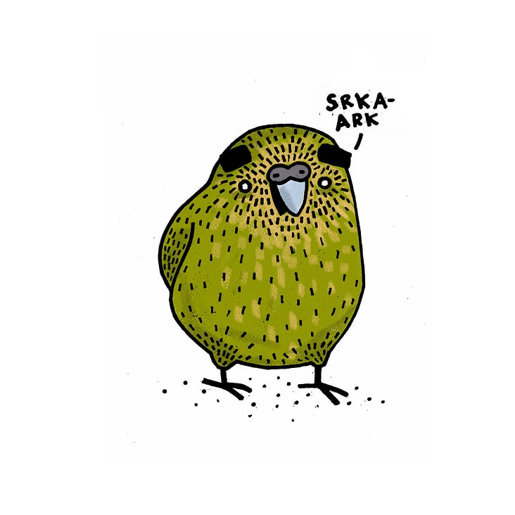 kakapo