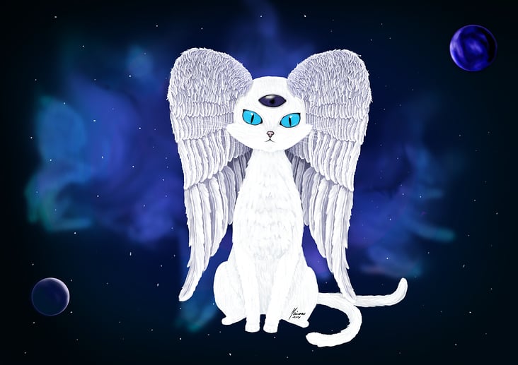 Space Cat