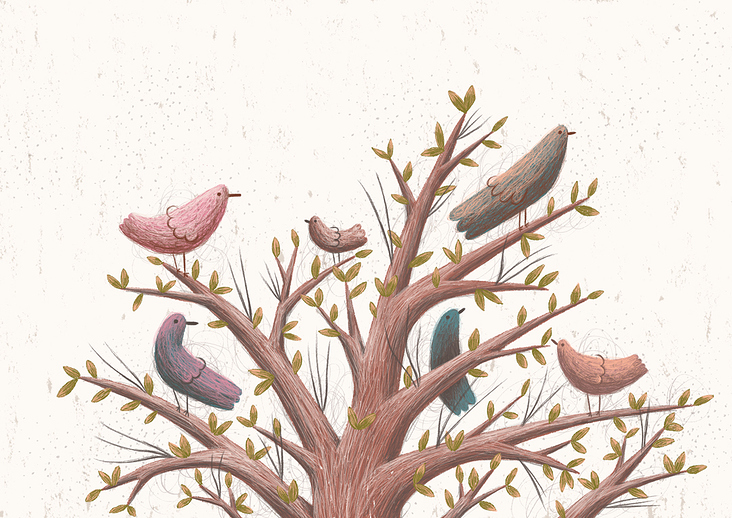 about birds 6