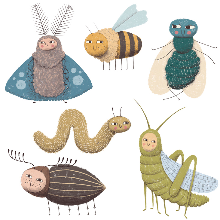 many insects