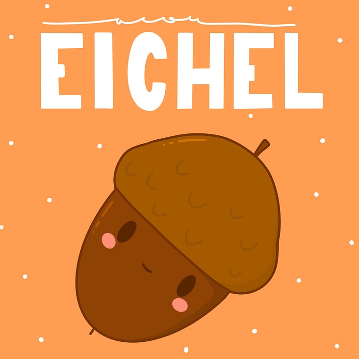 Eichel