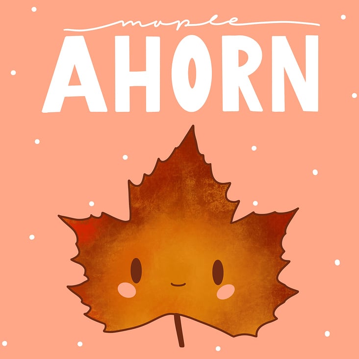 Ahorn