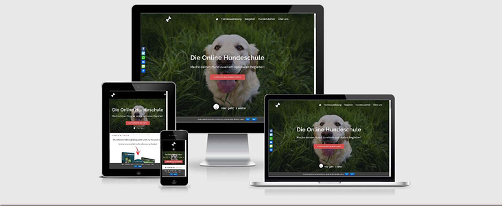 Webseite Online Hundeschule