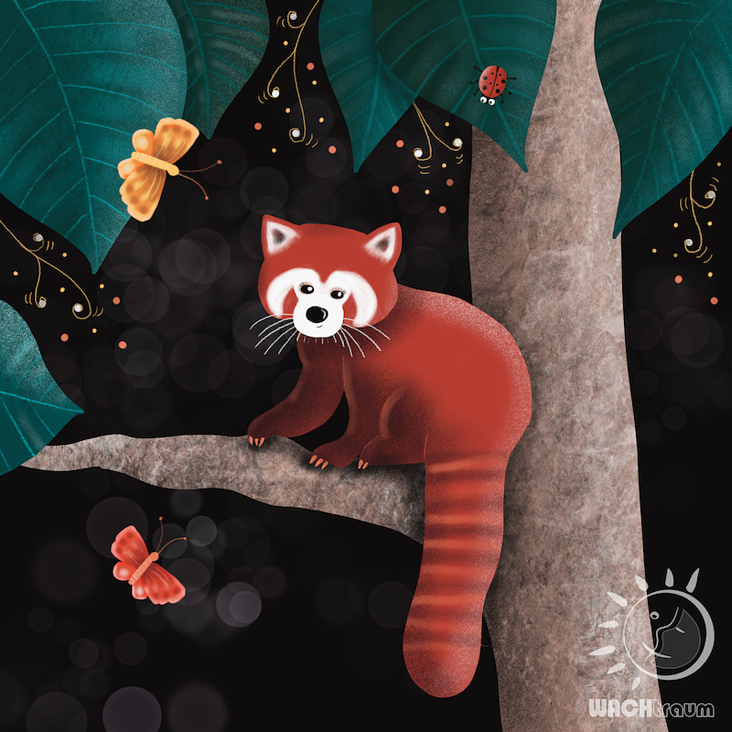 Roter Panda – vom Aussterben bedroht