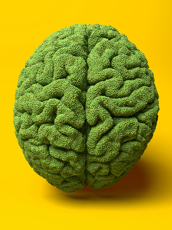 Pea Brain
