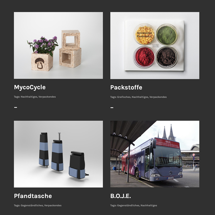 Online Portfolio Vorschau