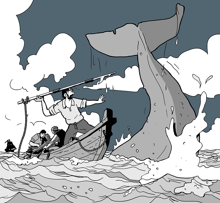 Schulbuchillustration zu Moby Dick