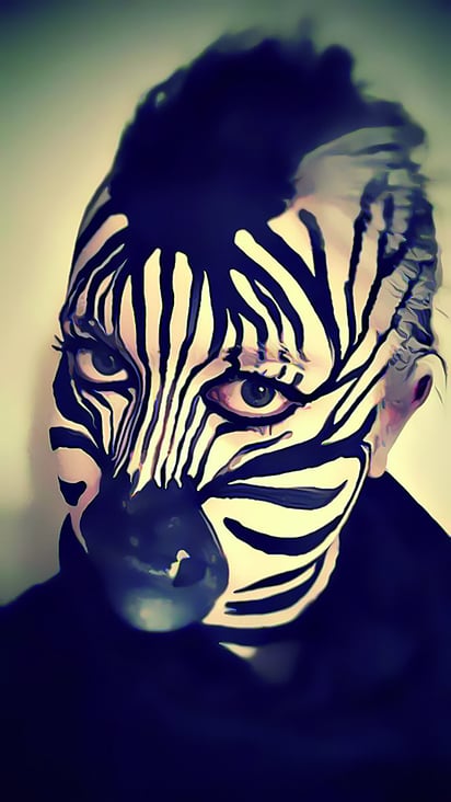 Zebra