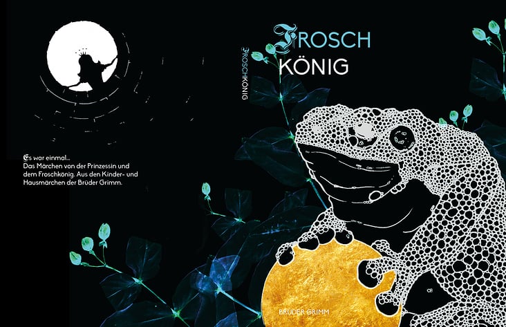 Buch Cover – Der Froschkönig