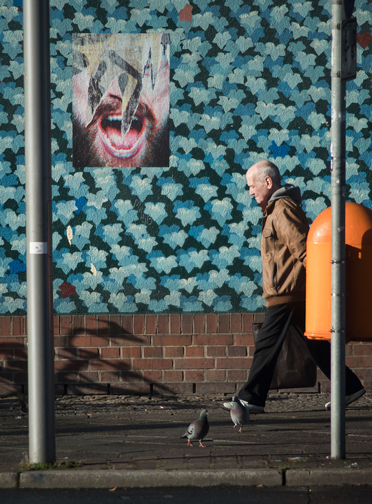 „Der Schrei“ (Antiplakat, Der Anonyme Plakatabriss, 2018)