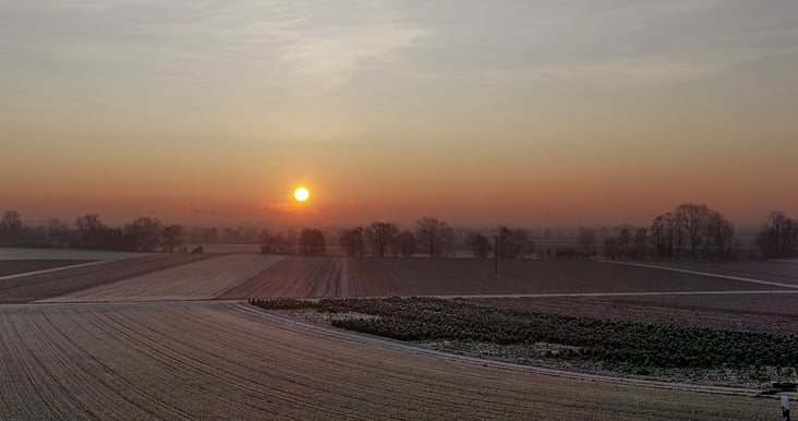 Novemberfrost – Sonnenaufgang bei Worms