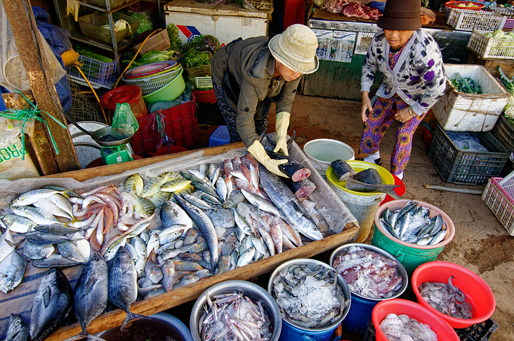 Fischmarkt in Da Lat in Vietnam
