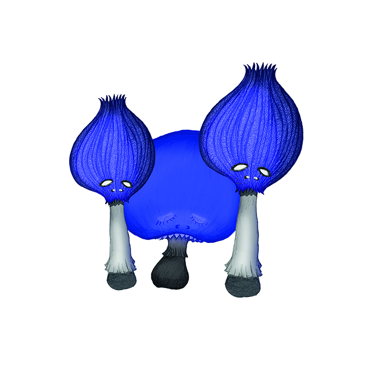 pilze