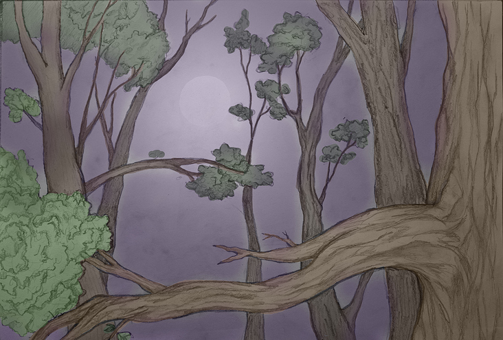 Wald