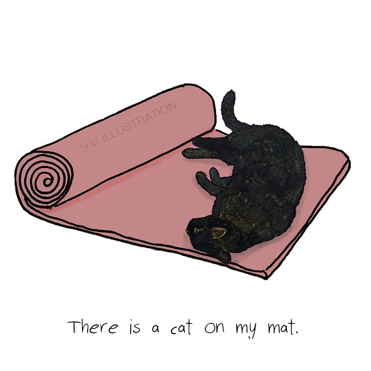 There is a Cat on My Mat