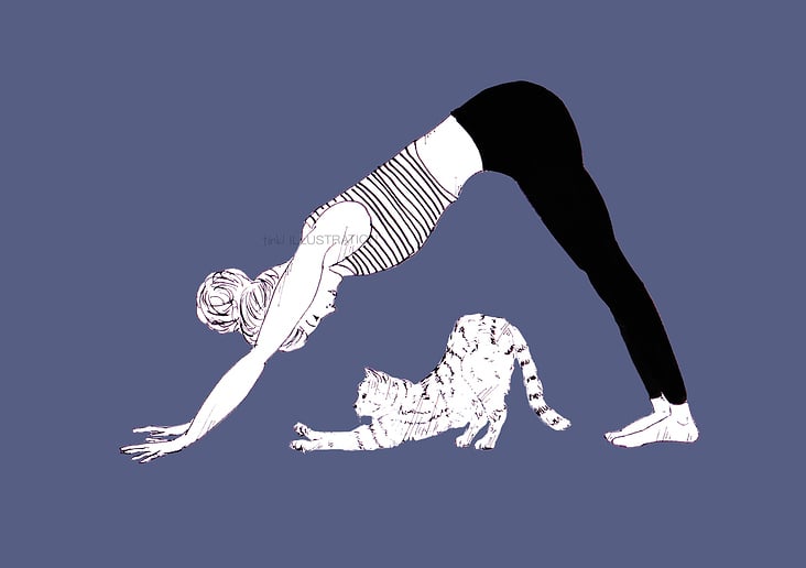 Cat Yoga