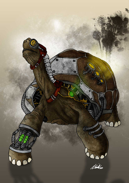 Illustration Schildkröte
