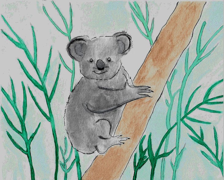 Koala, Aquarell