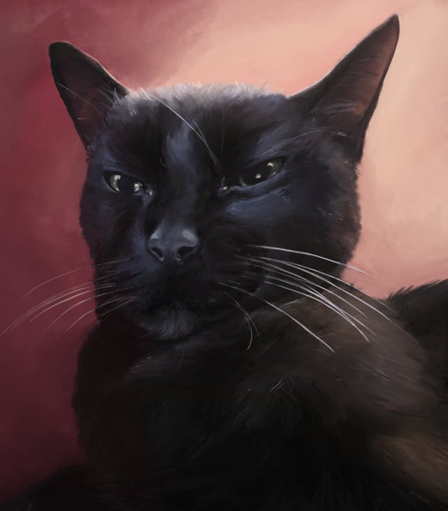 Katzenportrait 2