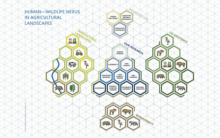 Infografik – Human—Wildlife Nexus 5