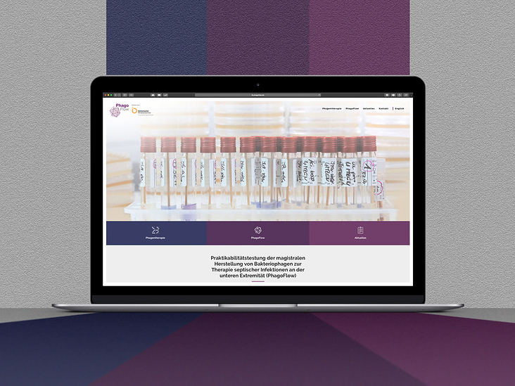 portfolio-website startseite komplett-phagoflow