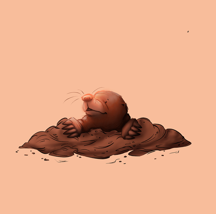 mole – character Design