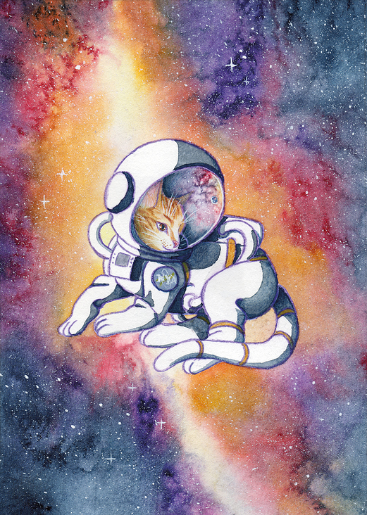 space cat