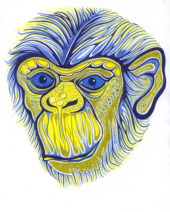 blue chimpanzee sm