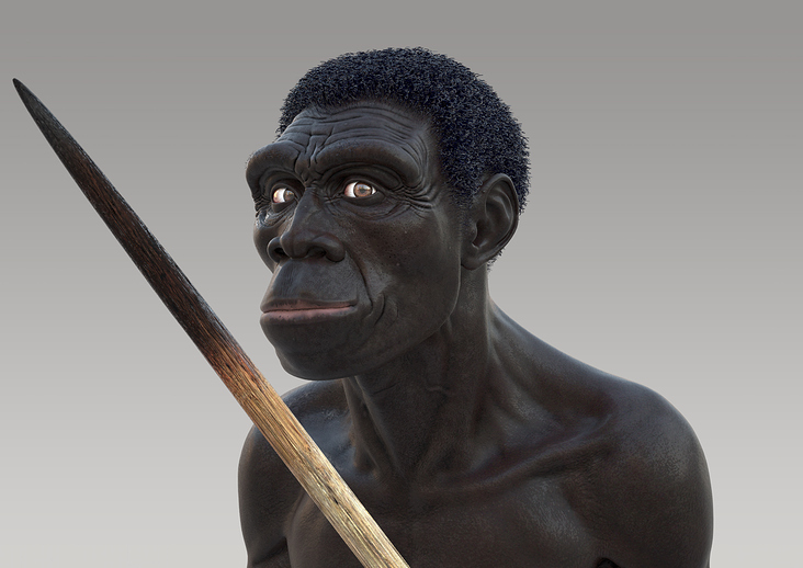 Homo Erectus 3D-Character Modelling; ZBrusch, 3DS MAX