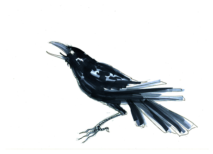 neelam-peristeris-crow-02
