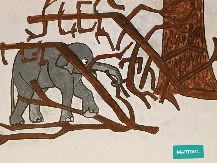Ein junger Elefant kämpft sich durch den sperrigen Weg. Wird er es schaffen?