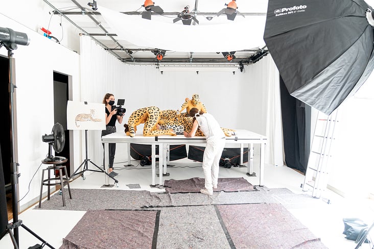 Making of – TyroAnimals