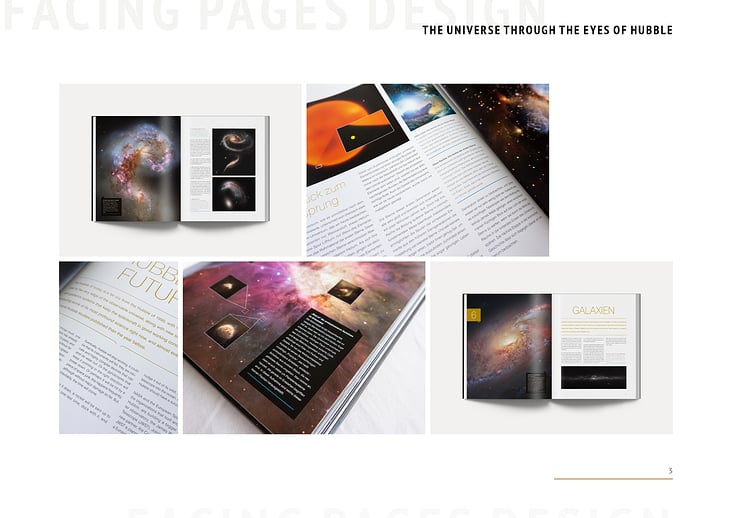 Facing Pages Design Portfolio Page 04