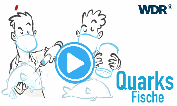 WDR Quarks – Fische