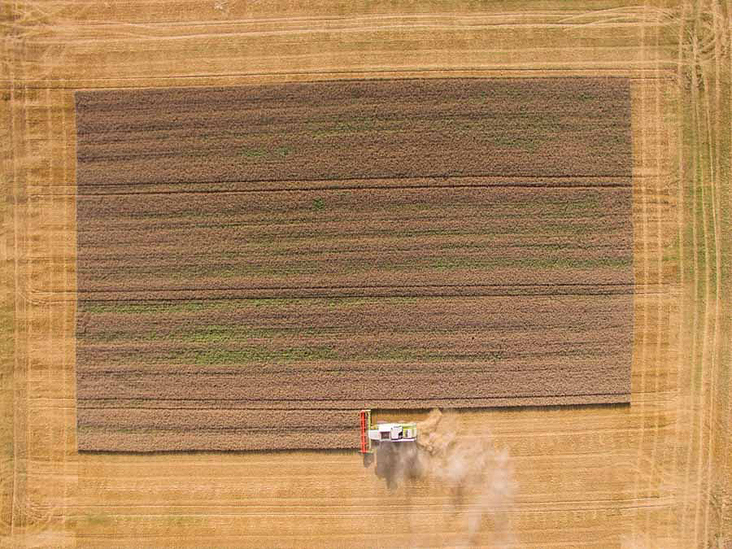 Ein Mähdrescher der Firma Claas während der Ernte auf einem Getreidefeld.