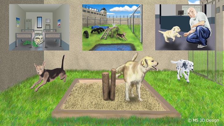 Illustrationen für das Buch: Prison Dogs