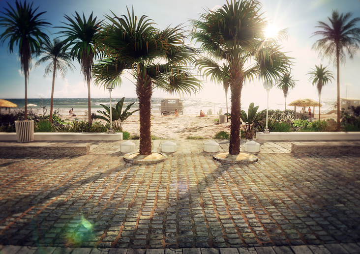 Beach palms 01