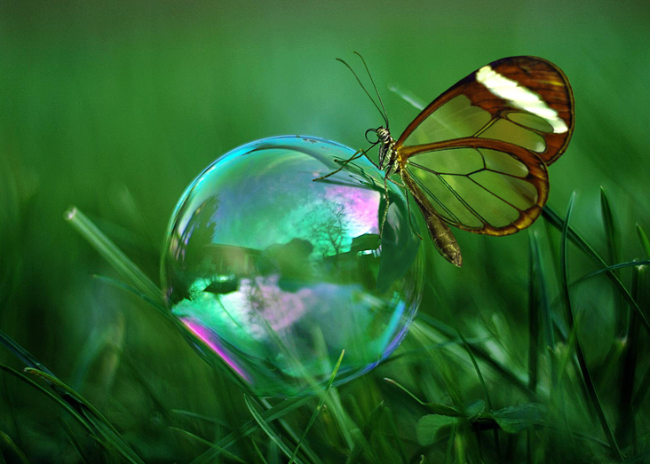Life on a bubble – Photobashing