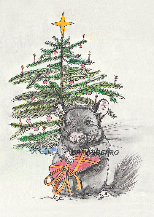 Chinchilla Weihnachtsillustration Bescherung