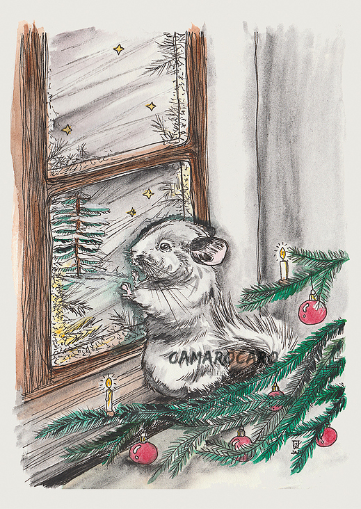 Chinchilla Weihnachtsillustration Am Fenster