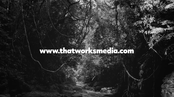 Website—That Works Media