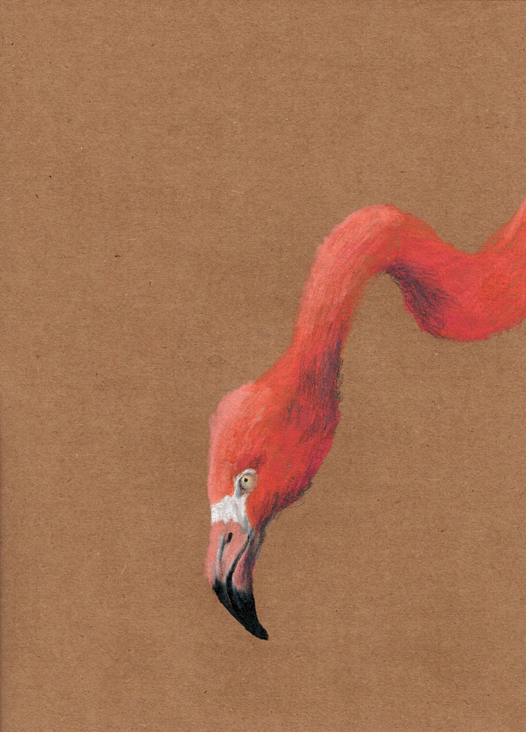Flamingo vorn