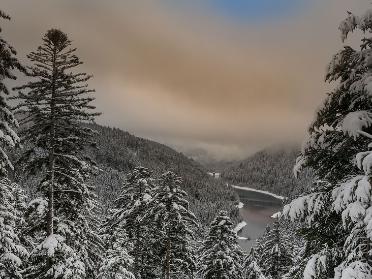 Blick zur Talsperre Kleine Kinzig