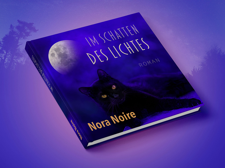 Im Schatten des Lichtes ➳ Ein Roman von Nora Noire