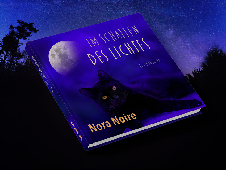 Im Schatten des Lichtes ➳ Ein Roman von Nora Noire