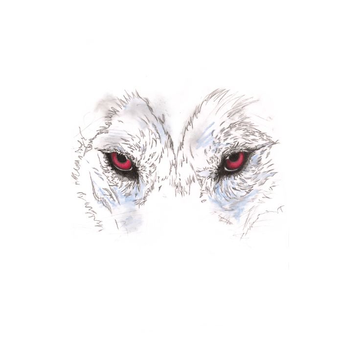 Das Wolfsmädchen