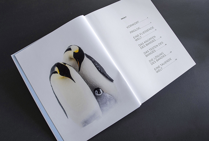 Inhaltsverzeichnis „Das Leben der Pinguine“
