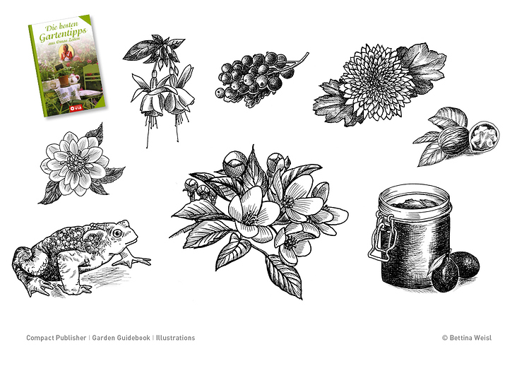 Illustrations I Garden Guidebook