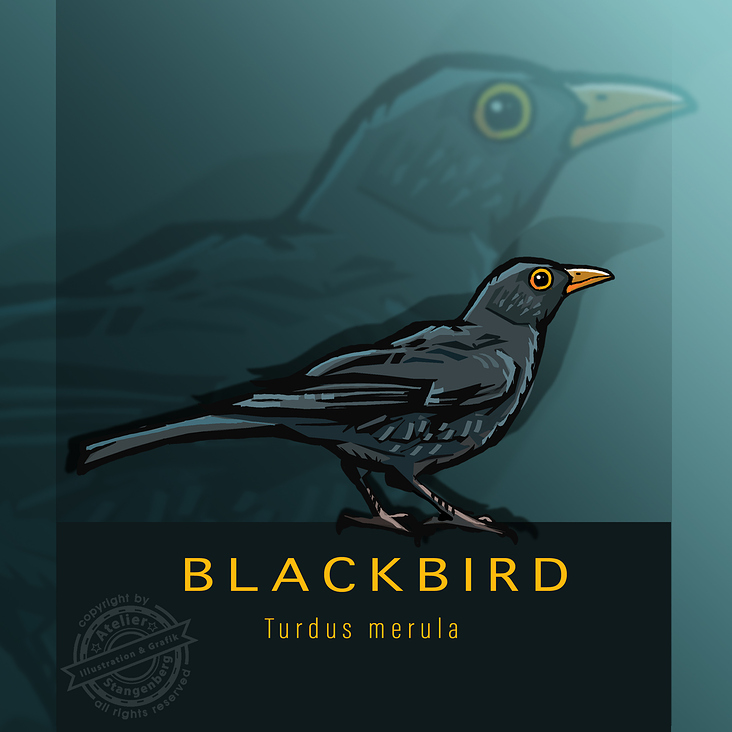 Blackbird / Poster